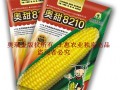 北京奧瑞金種業奧甜8210超甜水果玉米種子正在火爆招商中