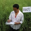 簡介: