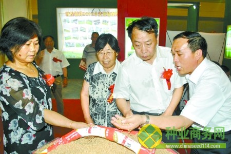 省種子管理站毛景英站長(左一)陪同省農業廳魏蒙關副廳長(右二)一起到參展企業展臺觀看參展小麥品種。