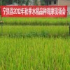 簡介: