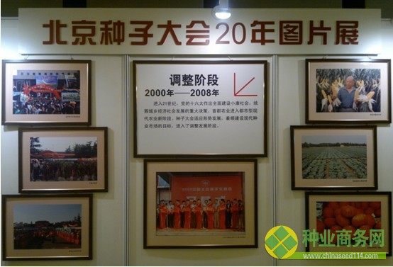 對接世界種子大會 展示中國種業風采