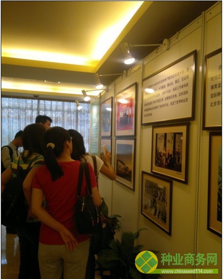 對接世界種子大會 展示中國種業風采