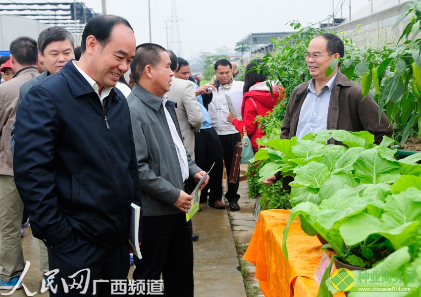 嘉賓在八桂田園參觀交流(見習記者廖小圓/攝)