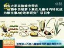 湖南確認25名兒童曾食用轉基因黃金大米 (1549播放)