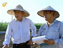 李登海：加速育種創新 振興民族種業 (1672播放)