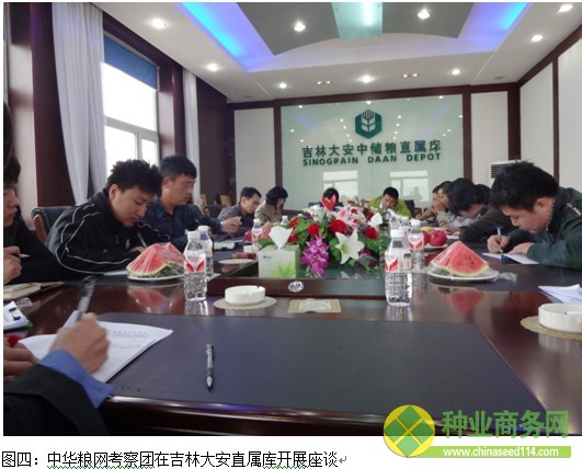 糧網考察一:吉林西部玉米春播基本完成 余糧不足兩成