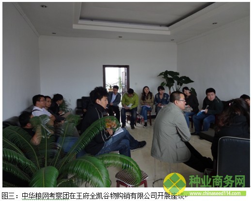 糧網考察一:吉林西部玉米春播基本完成 余糧不足兩成