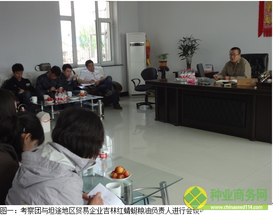 糧網考察二:黑吉交界玉米出苗較好 種植成本同比降低