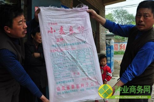順河村村民在展示他們購買的裝小麥種的袋子(攝影 張巖)
