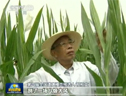 程相文：一粒種子改變世界 (1389播放)
