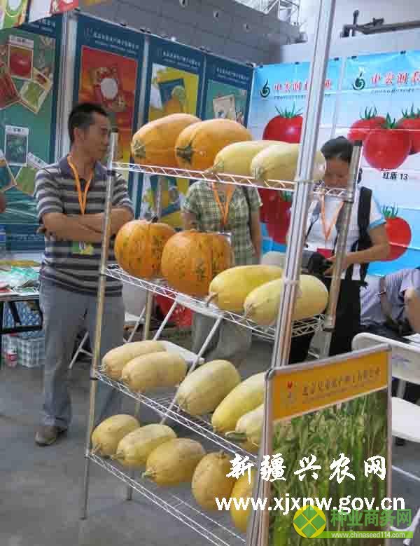 新、奇、特產品“點亮”新疆農博會