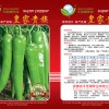 高產,抗病黃綠皮尖椒--皇家貴族