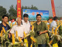 中農科868高產玉米品種觀摩會 (10?)