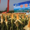 簡介:
