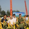 簡介: