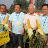 簡介: