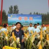 簡介: