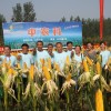 簡介: