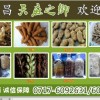 天麻種植技術-天麻種植基地-人工種植天麻-室內種植天麻