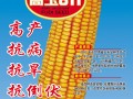 產品展示圖 (3?)