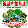 供應：育苗基質，瓜果蔬菜育苗基質，西瓜育苗專業育苗基質