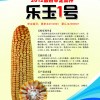 特征特性︱CHARACTERISTICS︱
該品種在適應區出苗至成熟生育日數為127-130天,需≥10℃活動積溫2680-2750℃。幼苗期第一葉鞘淺紫色,葉片綠色,莖綠色;株高275厘米,穗位100厘米,果穗圓柱型,穗軸紅色,成株可見20片葉,穗長22厘米,穗粗5.6厘米,穗行數18行,籽粒馬齒型,黃色,百粒重33克。兩年品質分析結果:容重726-738克/升,粗蛋白8.59%-8.75%,粗脂肪4.06%-4.42%,粗淀粉73.49%-75.01%。
栽培要點︱CULTIVON POINTS︱	
在適應區4月25日—5月5日播種,選擇中等以上肥力地塊種植,采用直播栽培,公頃保苗5.5—6.0萬株。施足底肥,每公頃施種肥磷酸二銨225公斤或復合肥300-375公斤,追肥施尿素450公斤,在玉米完熟期收獲。
產量表現︱PROOUCTION︱
2010-2011年兩年生產試驗平均公頃產量9477.4公斤,較對照品種鄭單958增產11.7%。最高公頃產量可達15225公斤。
適應區域︱TO ADAPT TO THE AREA︱
黑龍江省第一積溫帶,內蒙古自治區通遼市、赤峰市、巴彥淖爾市,凡種植鄭單958、良玉66、先玉335區域均可種植。