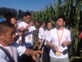 老師在試驗田講解農華101特性 (1?)