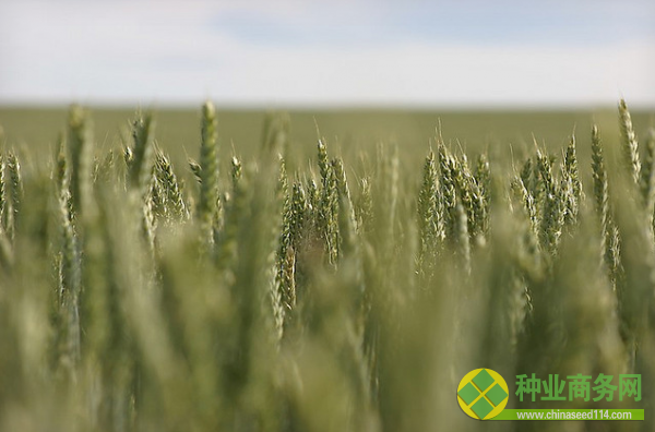 20140227 Monsanto - TheVerge.png