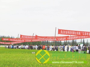 十萬農民選出“江蘇好品種”