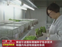 山西引進國際高端種子包衣技術和國內先進物流監控系統 (1398播放)