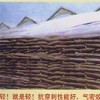 糧食專用膜-糧膜-沈陽中谷機械設備有限公司
