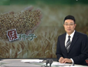 最大種子市場 套包種子銷售肆虐 (1626播放)