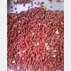 滄州泊頭絲棉木種子多少錢？中正種植專業合作告訴你價格