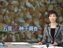 五常滿城皆是“稻花香” 種子由商品糧冒充 (1395播放)