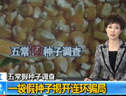 一袋假種子揭開連環騙局 (1682播放)