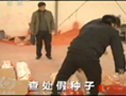河南新鄉假種子系套牌侵權 (3648播放)