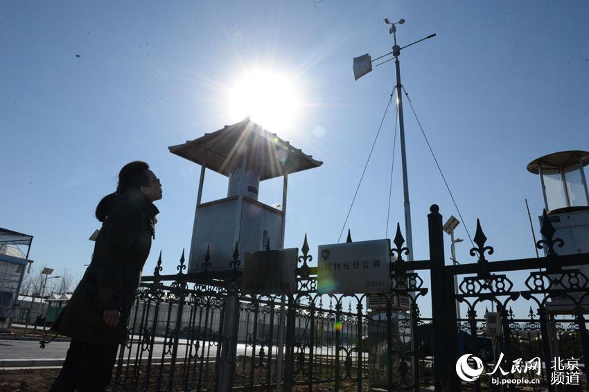 工作人員正在植物疫情監測站測量種子們成長的大環境。