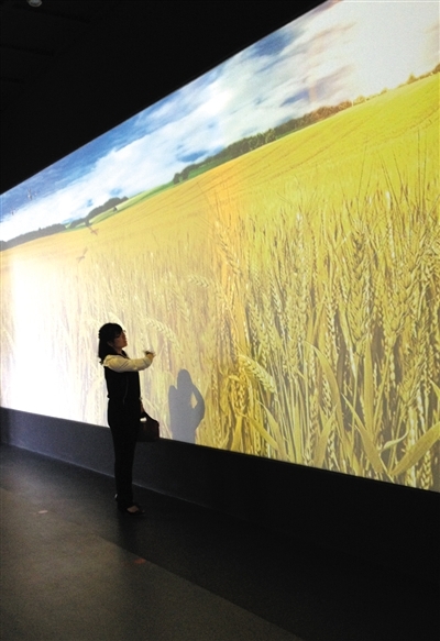 種子大會看“風吹麥浪”聽“鳥叫蟬鳴”