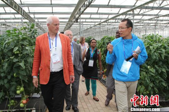 世界種子大會代表盛贊品種展示基地(組圖)