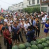 碩大油亮等西瓜惹人喜愛,等待著稱重和綜合品質指標監測-記者李江武攝影