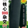 冬瓜種子-金記鐵心999雜交黑皮冬瓜F-999 金記種業