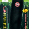 冬瓜種子-金記廣東三水子彈頭黑皮冬瓜種子F-306 金記種業