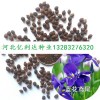 河北億利達種業大量求購蘭花鳶尾種子價格誠懇合作