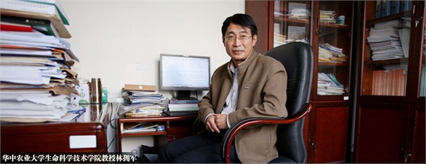 華中農業大學生命科學技術學院教授、轉基因水稻研發團隊成員林擁軍