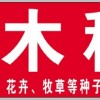 優質北欒種子河北億利達種業