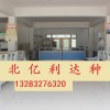產地北欒種子大量供應質優價廉行業領先