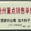 河北滄州苗木種子供應苗木種子采集加工-億利達種業