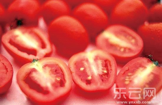 東川菜農種出的太空茄子。