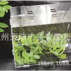 供應杭州爬蟲箱飼養箱,寵物箱