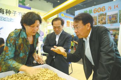 省農業廳副廳長魏蒙關(右一)在展會上向河南省南海種子有限公司總經理田應雪(左一)了解該公司經營的花生新品種。